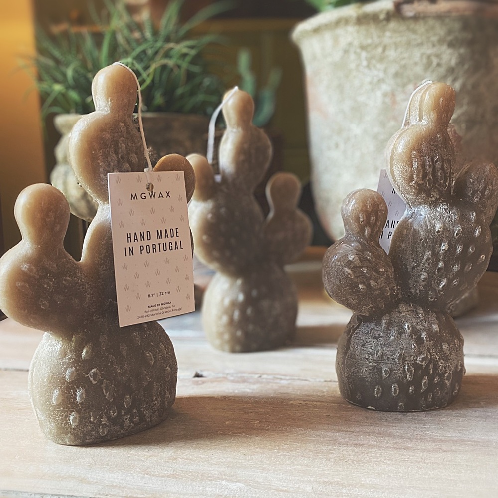 Cactus Candles - Picture 12 of 12